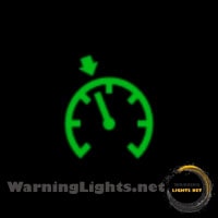 Chevy Trailblazer Speed Control Fault Warning Light